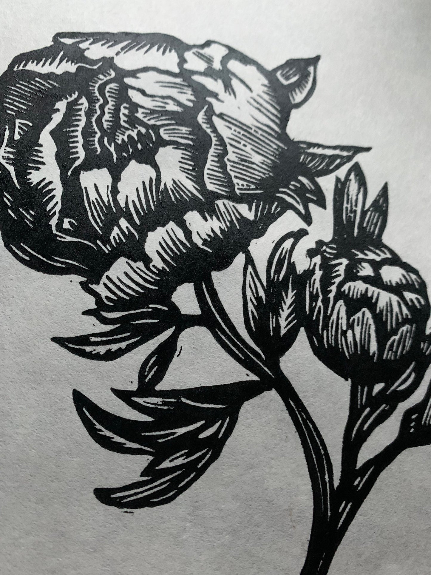 Peonies in Bloom Linocut